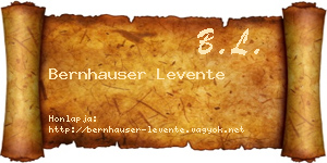 Bernhauser Levente névjegykártya
